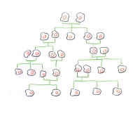 https://daniel-lumbreras.com/files/gimgs/th-85_árbol genealógico.jpg
